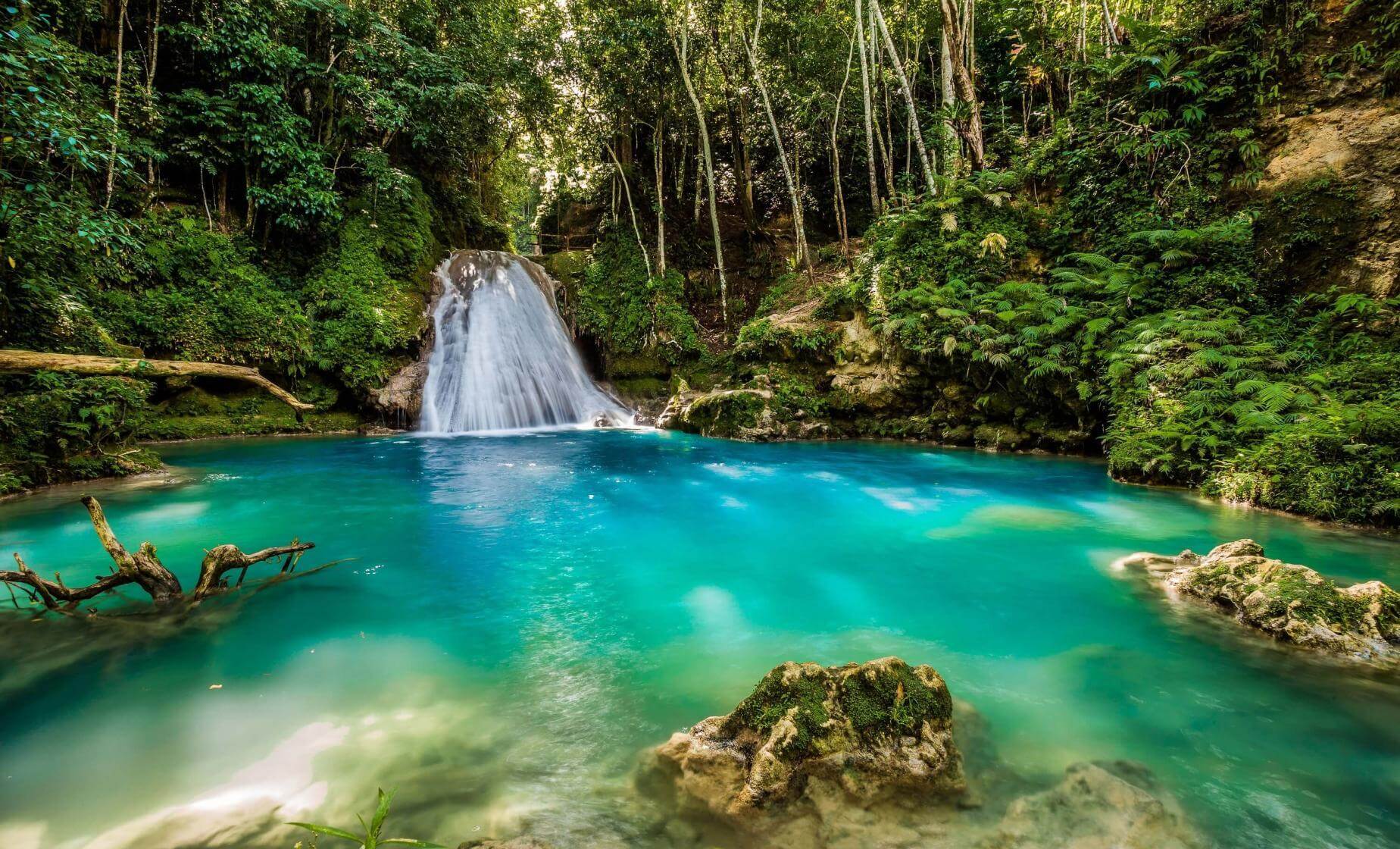 Dunn's River Falls & Blue Hole Tour - Image 2